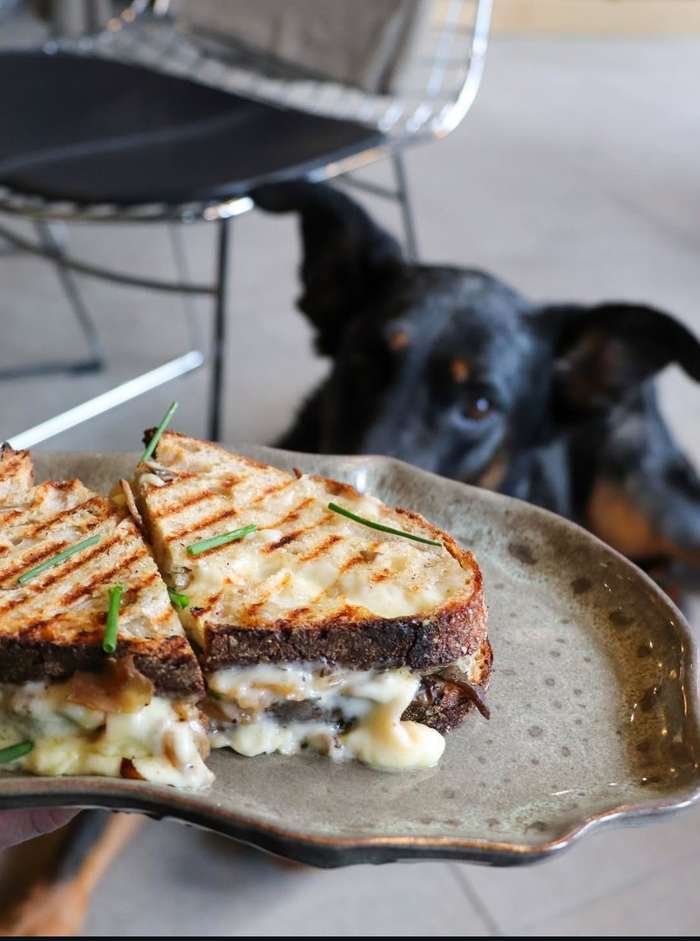 Grilled cheese — Café Huguette